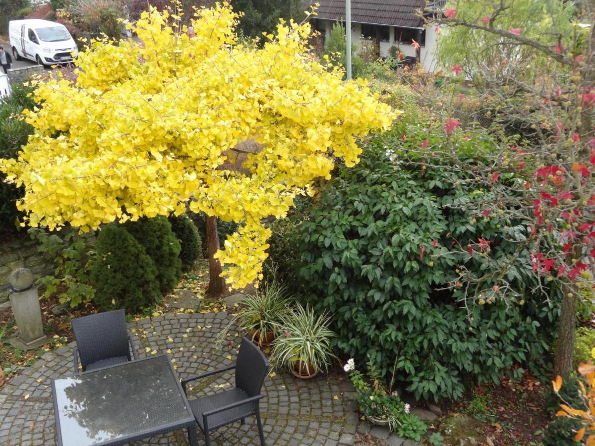 Ruhe - Oase Am Eichwald Appartement